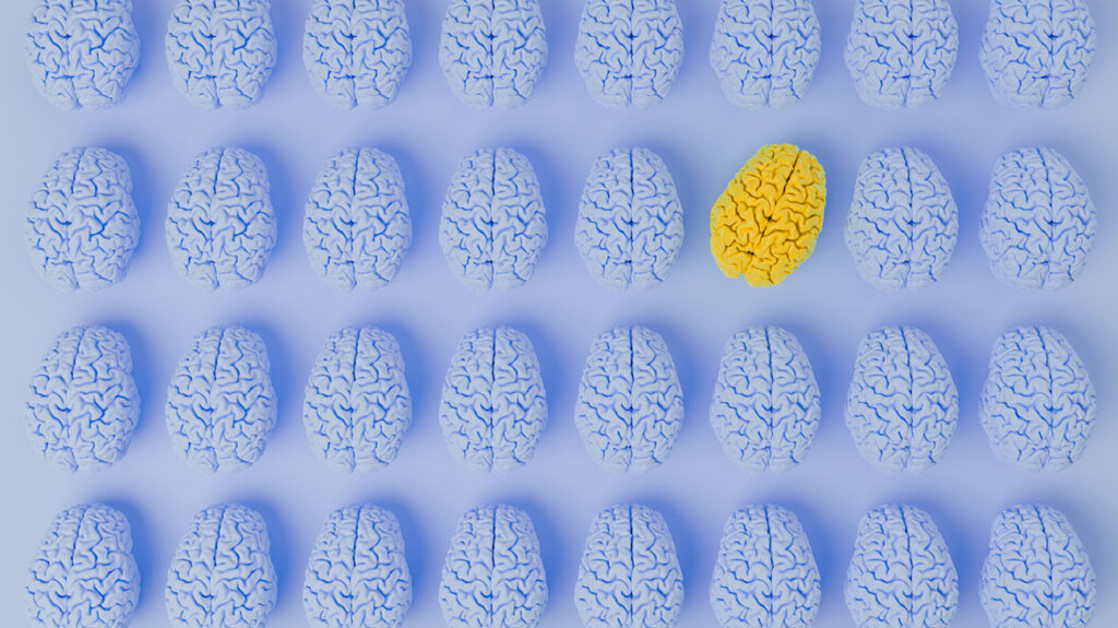 Un modelo mixto de un modelo de cerebro azul y un modelo de cerebro amarillo