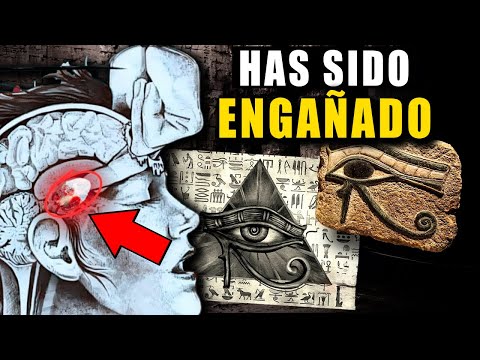 La glándula pineal: el misterio detrás de nuestra conciencia La glándula pineal: el misterio detrás de nuestra conciencia