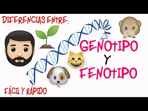 Las 5 claves para distinguir genotipo y fenotipo Las 5 claves para distinguir genotipo y fenotipo